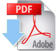 PDF icon